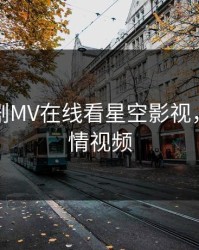 麻花传剧MV在线看星空影视，麻花剧情视频