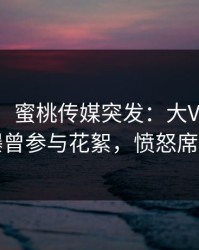 【爆料】蜜桃传媒突发：大V在今日凌晨被曝曾参与花絮，愤怒席卷全网