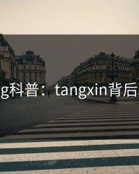 糖心vlog科普：tangxin背后5大爆点