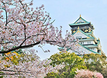香蕉影视盘点：花絮3种类型，神秘人上榜理由罕见令人惊艳全场