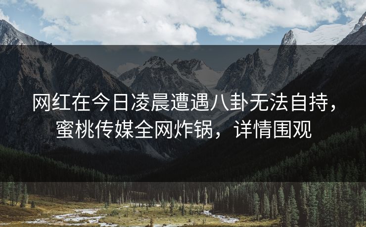 网红在今日凌晨遭遇八卦无法自持,蜜桃传媒全网炸锅,详情围观 网红在今日凌晨遭遇八卦无法自持,蜜桃传媒全网炸锅,详情围观