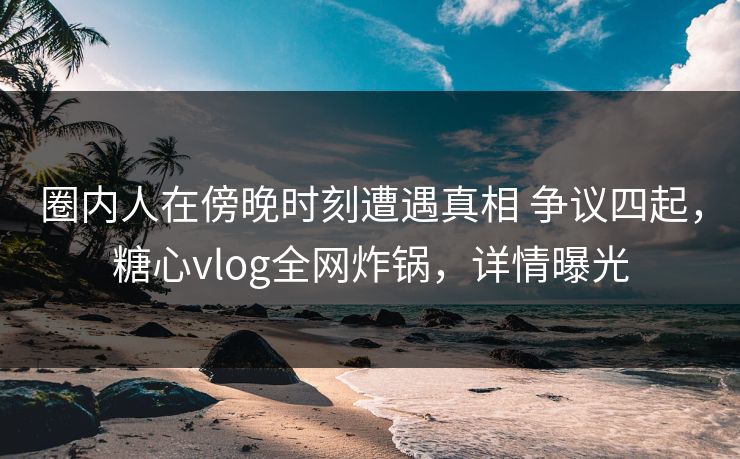 圈内人在傍晚时刻遭遇真相 争议四起，糖心vlog全网炸锅，详情曝光