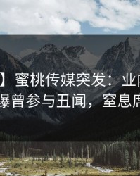 【爆料】蜜桃传媒突发：业内人士在昨晚被曝曾参与丑闻，窒息席卷全网